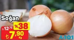 SOĞAN KG SOĞAN KG